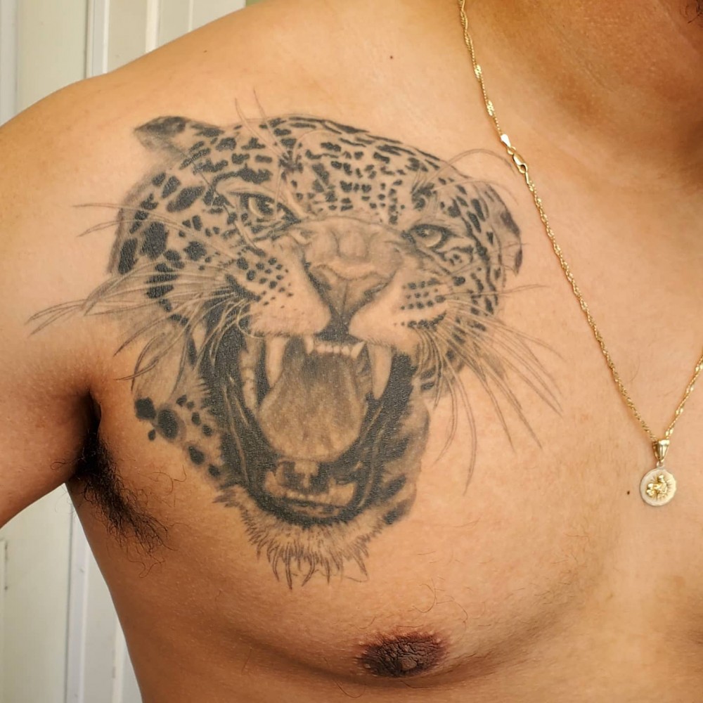 "Here Are 70+ Unique Traditional Jaguar Tattoo Ideas That Will Give Strength For Men jaguar tattoo traditional jaguar tattoo meaning black jaguar tattoo jaguar tattoo old school jaguar tattoo on hand simple jaguar tattoo small jaguar tattoo jaguar tattoo tribal jaguar tattoo chest jaguar tattoo black and grey jaguar tattoo mayan jagua hand tattoo jaguar tattoo forearm jaguar tattoo back jaguar tattoo small jaguar tattoo american traditional tattoo ideas for men strength tattoos unique tattoos"