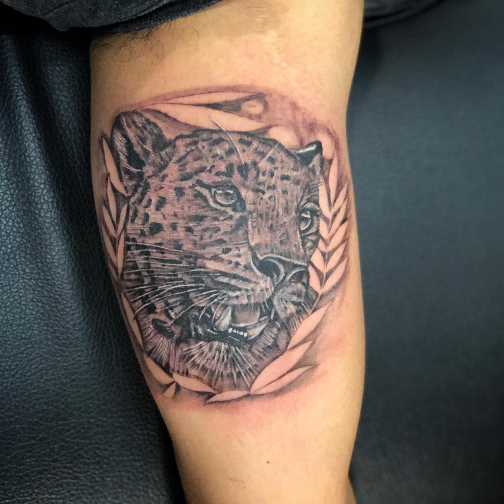 "Here Are 70+ Unique Traditional Jaguar Tattoo Ideas That Will Give Strength For Men jaguar tattoo traditional jaguar tattoo meaning black jaguar tattoo jaguar tattoo old school jaguar tattoo on hand simple jaguar tattoo small jaguar tattoo jaguar tattoo tribal jaguar tattoo chest jaguar tattoo black and grey jaguar tattoo mayan jagua hand tattoo jaguar tattoo forearm jaguar tattoo back jaguar tattoo small jaguar tattoo american traditional tattoo ideas for men strength tattoos unique tattoos"