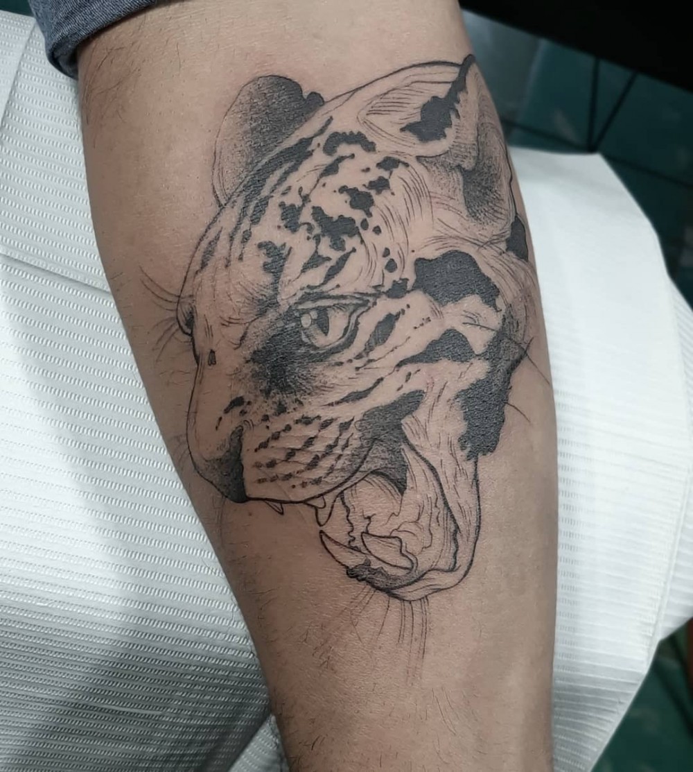 "Here Are 70+ Unique Traditional Jaguar Tattoo Ideas That Will Give Strength For Men jaguar tattoo traditional jaguar tattoo meaning black jaguar tattoo jaguar tattoo old school jaguar tattoo on hand simple jaguar tattoo small jaguar tattoo jaguar tattoo tribal jaguar tattoo chest jaguar tattoo black and grey jaguar tattoo mayan jagua hand tattoo jaguar tattoo forearm jaguar tattoo back jaguar tattoo small jaguar tattoo american traditional tattoo ideas for men strength tattoos unique tattoos"