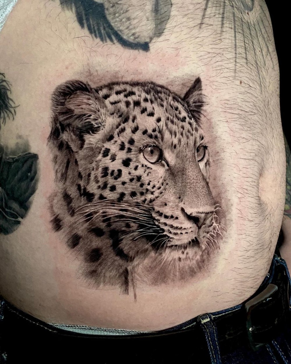 "Here Are 70+ Unique Traditional Jaguar Tattoo Ideas That Will Give Strength For Men jaguar tattoo traditional jaguar tattoo meaning black jaguar tattoo jaguar tattoo old school jaguar tattoo on hand simple jaguar tattoo small jaguar tattoo jaguar tattoo tribal jaguar tattoo chest jaguar tattoo black and grey jaguar tattoo mayan jagua hand tattoo jaguar tattoo forearm jaguar tattoo back jaguar tattoo small jaguar tattoo american traditional tattoo ideas for men strength tattoos unique tattoos"