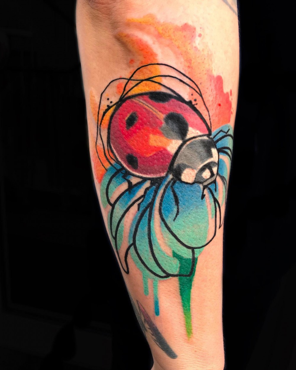 "How To Get Good Luck in 2020? Get Inspired With These 27+ Miraculous Ladybug Insect Tattoo Ideas! traditional ladybug tattoo realistic ladybug tattoo ladybug tattoos meaning ladybug tattoo with name ladybug tattoo watercolor ladybug tattoo simple ladybug tattoo outline ladybug tattoo for guys small ladybug tattoo black and white ladybug tattoo behind ear ladybug tattoo on wrist ladybug and flower tattoo ladybug outline tattoo miraculous ladybug tattoo ladybug tattoo black and white ladybug and butterfly tattoo ladybug tattoo realistic ladybug tattoo on shoulder simple ladybug tattoo black and white minimalist ladybug tattoo ladybug minimalist tattoo flower of life tattoo ladybug drawing ladybug meaning ladybug tattoo black black and white ladybug"