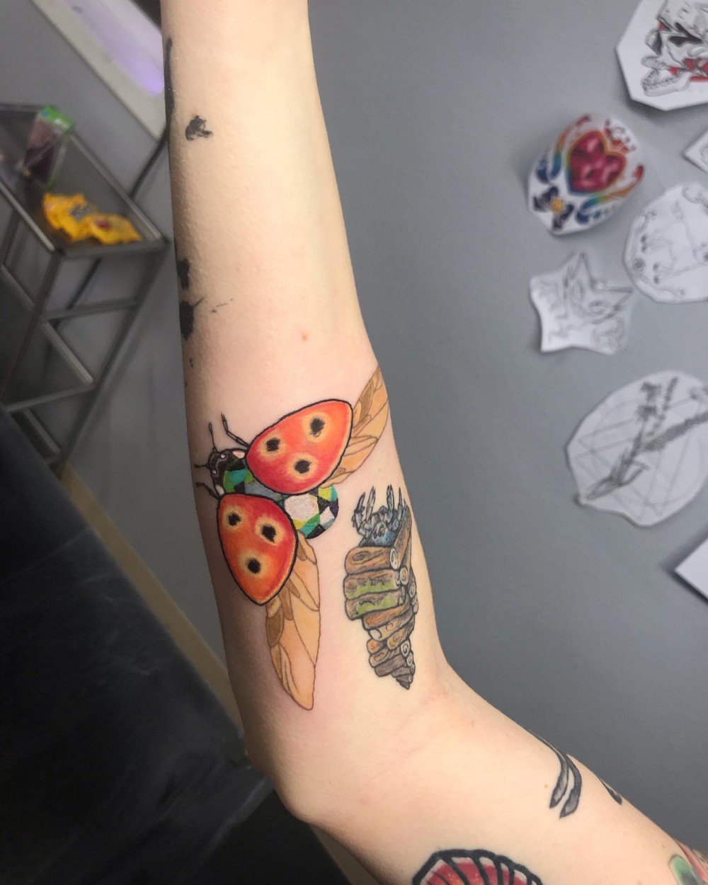 "How To Get Good Luck in 2020? Get Inspired With These 27+ Miraculous Ladybug Insect Tattoo Ideas! traditional ladybug tattoo realistic ladybug tattoo ladybug tattoos meaning ladybug tattoo with name ladybug tattoo watercolor ladybug tattoo simple ladybug tattoo outline ladybug tattoo for guys small ladybug tattoo black and white ladybug tattoo behind ear ladybug tattoo on wrist ladybug and flower tattoo ladybug outline tattoo miraculous ladybug tattoo ladybug tattoo black and white ladybug and butterfly tattoo ladybug tattoo realistic ladybug tattoo on shoulder simple ladybug tattoo black and white minimalist ladybug tattoo ladybug minimalist tattoo flower of life tattoo ladybug drawing ladybug meaning ladybug tattoo black black and white ladybug"