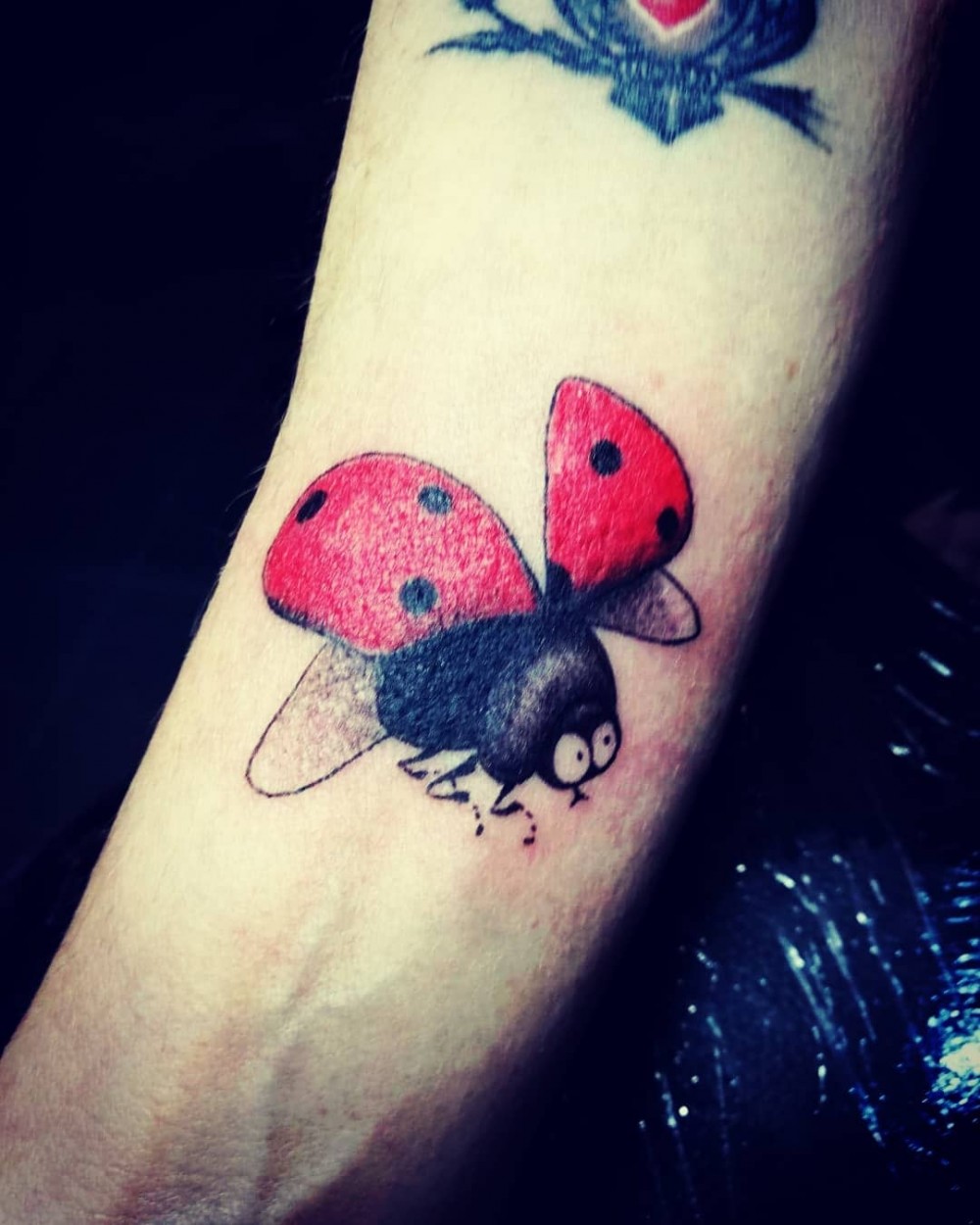 "How To Get Good Luck in 2020? Get Inspired With These 27+ Miraculous Ladybug Insect Tattoo Ideas! traditional ladybug tattoo realistic ladybug tattoo ladybug tattoos meaning ladybug tattoo with name ladybug tattoo watercolor ladybug tattoo simple ladybug tattoo outline ladybug tattoo for guys small ladybug tattoo black and white ladybug tattoo behind ear ladybug tattoo on wrist ladybug and flower tattoo ladybug outline tattoo miraculous ladybug tattoo ladybug tattoo black and white ladybug and butterfly tattoo ladybug tattoo realistic ladybug tattoo on shoulder simple ladybug tattoo black and white minimalist ladybug tattoo ladybug minimalist tattoo flower of life tattoo ladybug drawing ladybug meaning ladybug tattoo black black and white ladybug"
