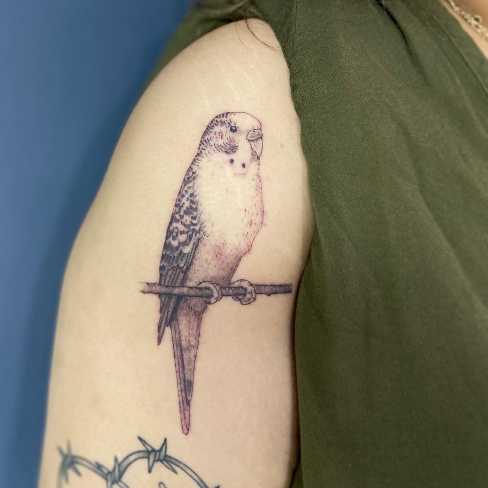 "Do Single Needle Tattoos Last Longer And Hurt Less? Check Out These 63+ Simple Minimalist Design Ideas single needle tattoo designs single needle tattoo ideas minimalist tattoos with meaning delicate minimalist tattoos minimalist tattoo flower minimalist tattoo sleeve minimalist cat tattoo tattoo ideas minimalist family tattoo simplistic tattoo minimal tattoo"