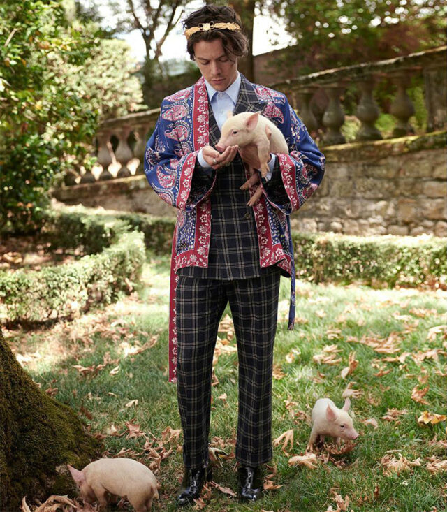 Gucci Muse, harry styles outfits 2022 harry styles outfit ideas harry styles suits harry styles style 2022 harry styles iconic outfits harry styles cardigan harry styles outfit inspo harry styles street style 2022