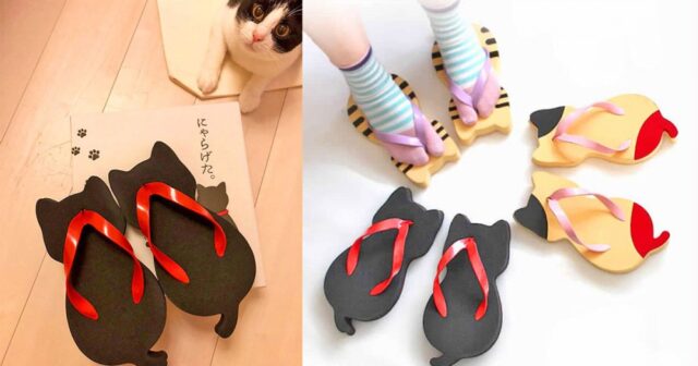 Cat Shaped Sandals That Every Cat Lover Should Order A Pair Now (2021) - LastMinuteStylist