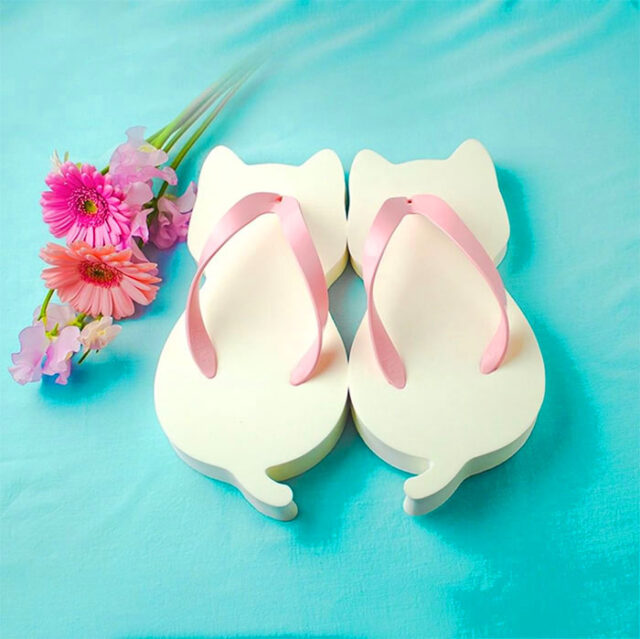 new cat sandals
