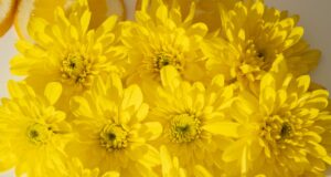 bouquet of vibrant yellow flowers
