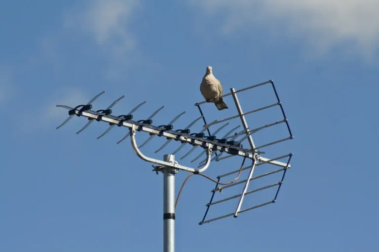 5 Tips and Tricks for Boosting Your Antenna’s Signal Strength