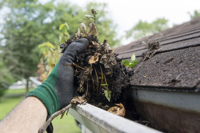 5 Ways to Know if Your Gutters Need Cleaning